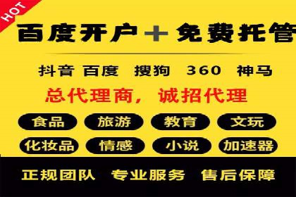 某某SEM服务公司如何帮助企业实现ROI最大化